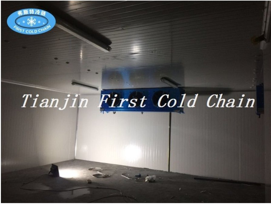 Advanced Cold Storage Systems with Cutting-Edge Refrigeration Technology