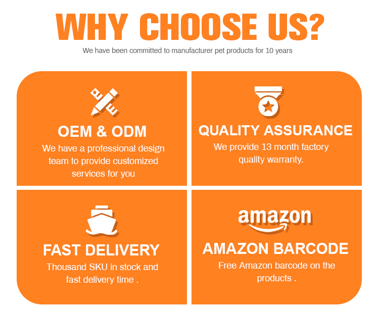 Why Choose Us Graphic 1