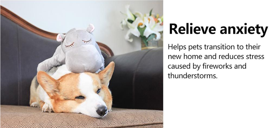 Anxiety Relief Aid Features