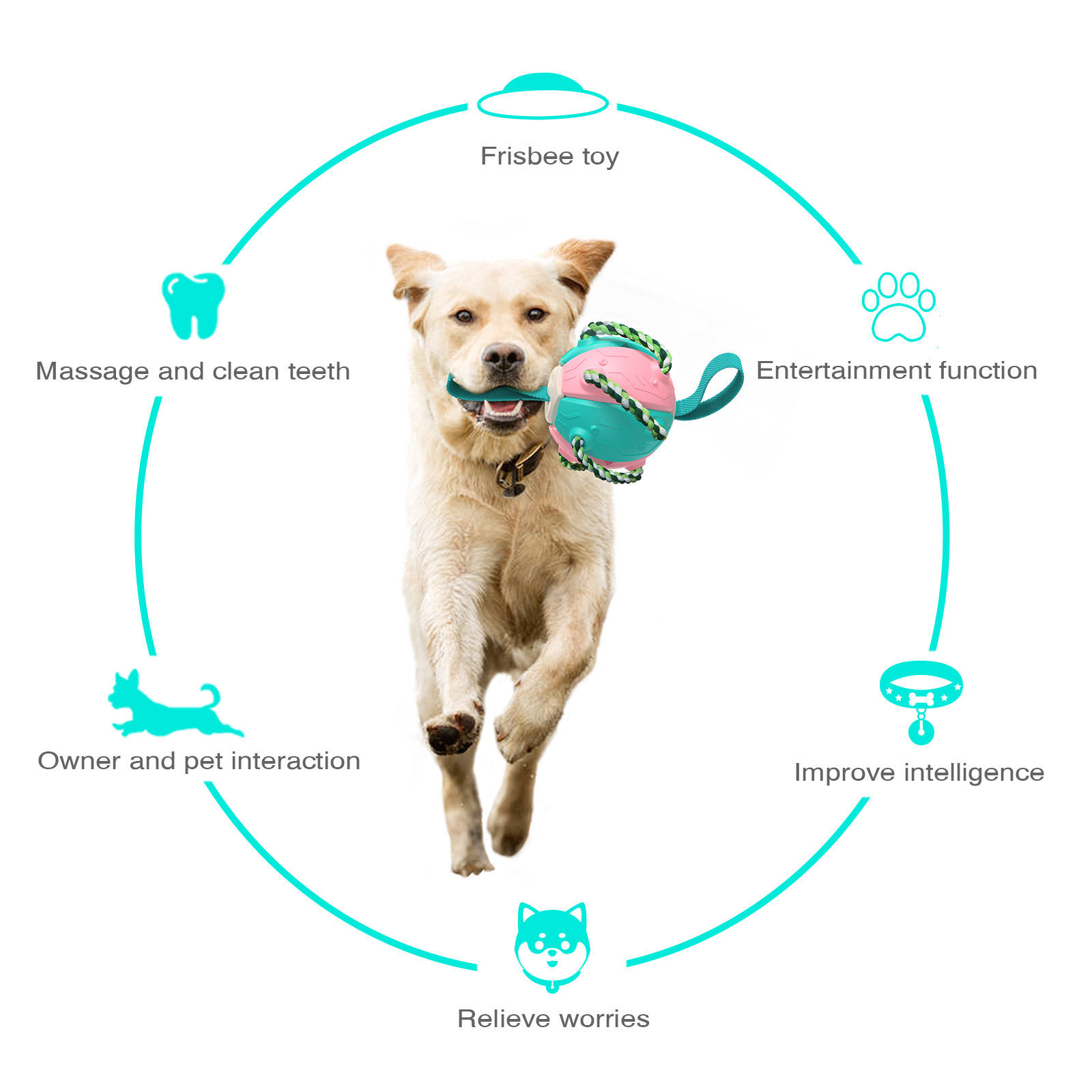 2024 New Hot Selling Pet Dog Ball Toy Multifunctional Chew Interactive Dog Toy
