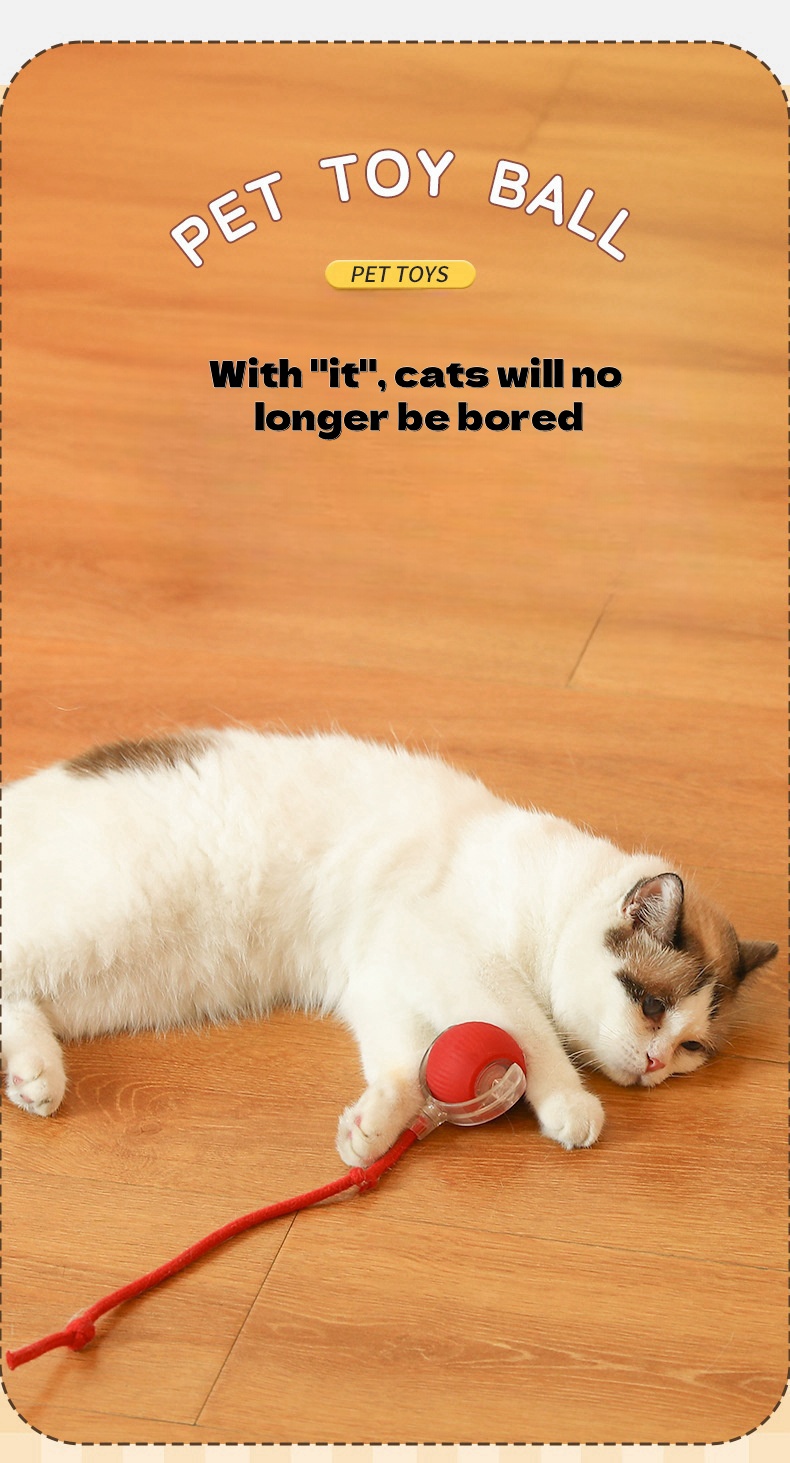 Hot Sales Pet Toy 360° Automatic Interactive Dog Smart Ball Toy With Rope Interactive Cat Toys USB Charger Rolling Ball for Cats