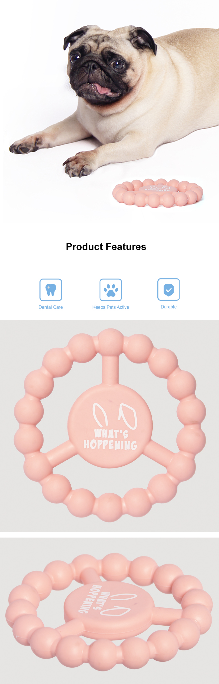 TPR Dental Cleaning Toy Showcase 3