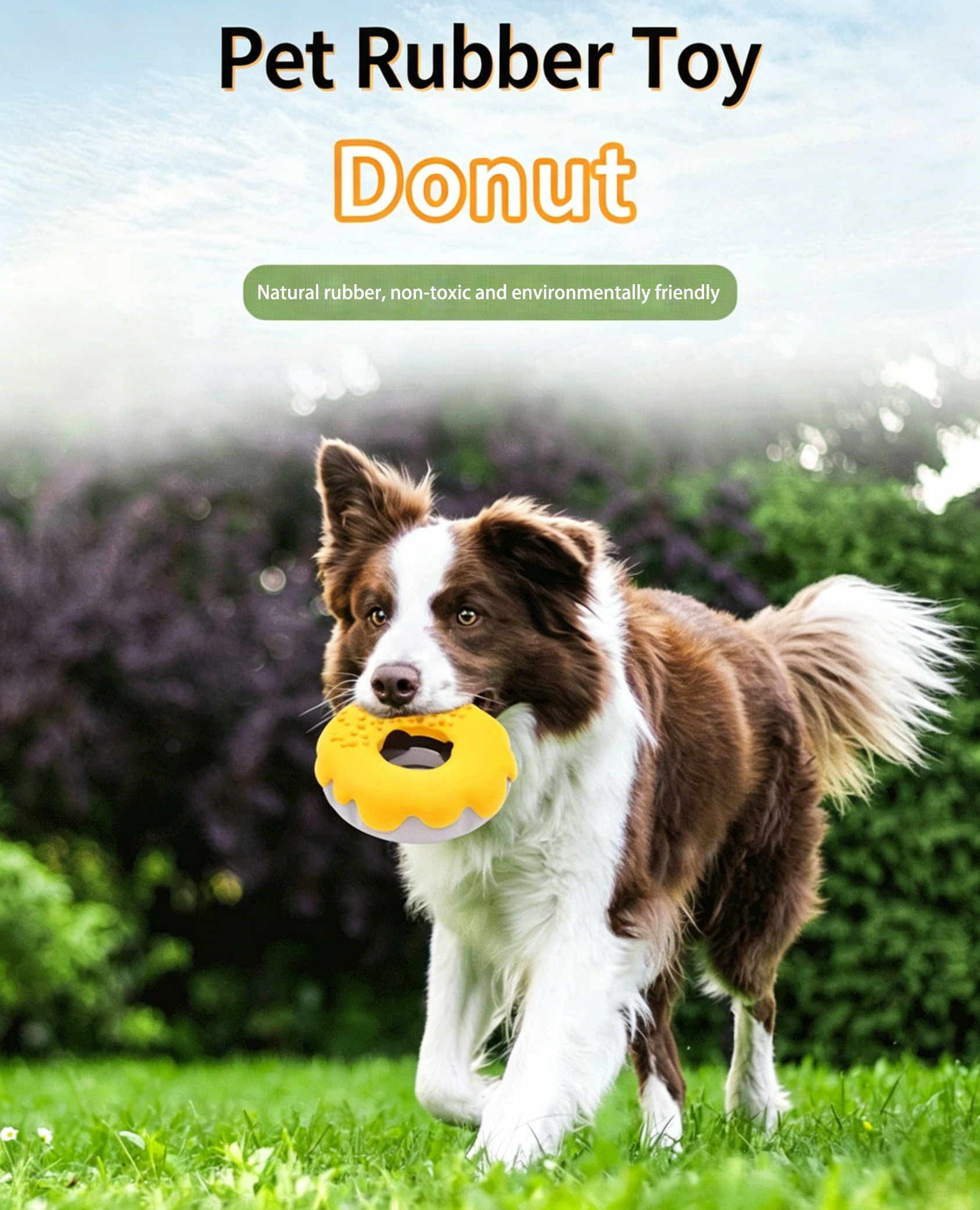 Pet Supplies Design Detail