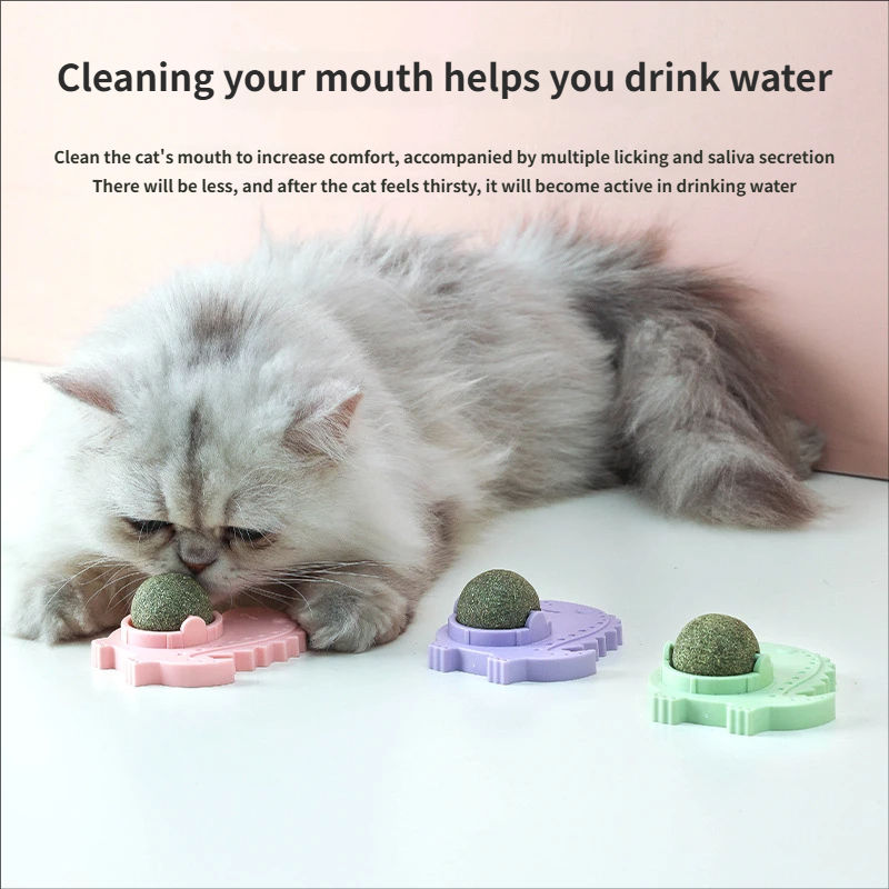 Small Fun Slow Feeder Eco-friendly and Durable Plastic cat Food Dispenser Educational Chew Toy