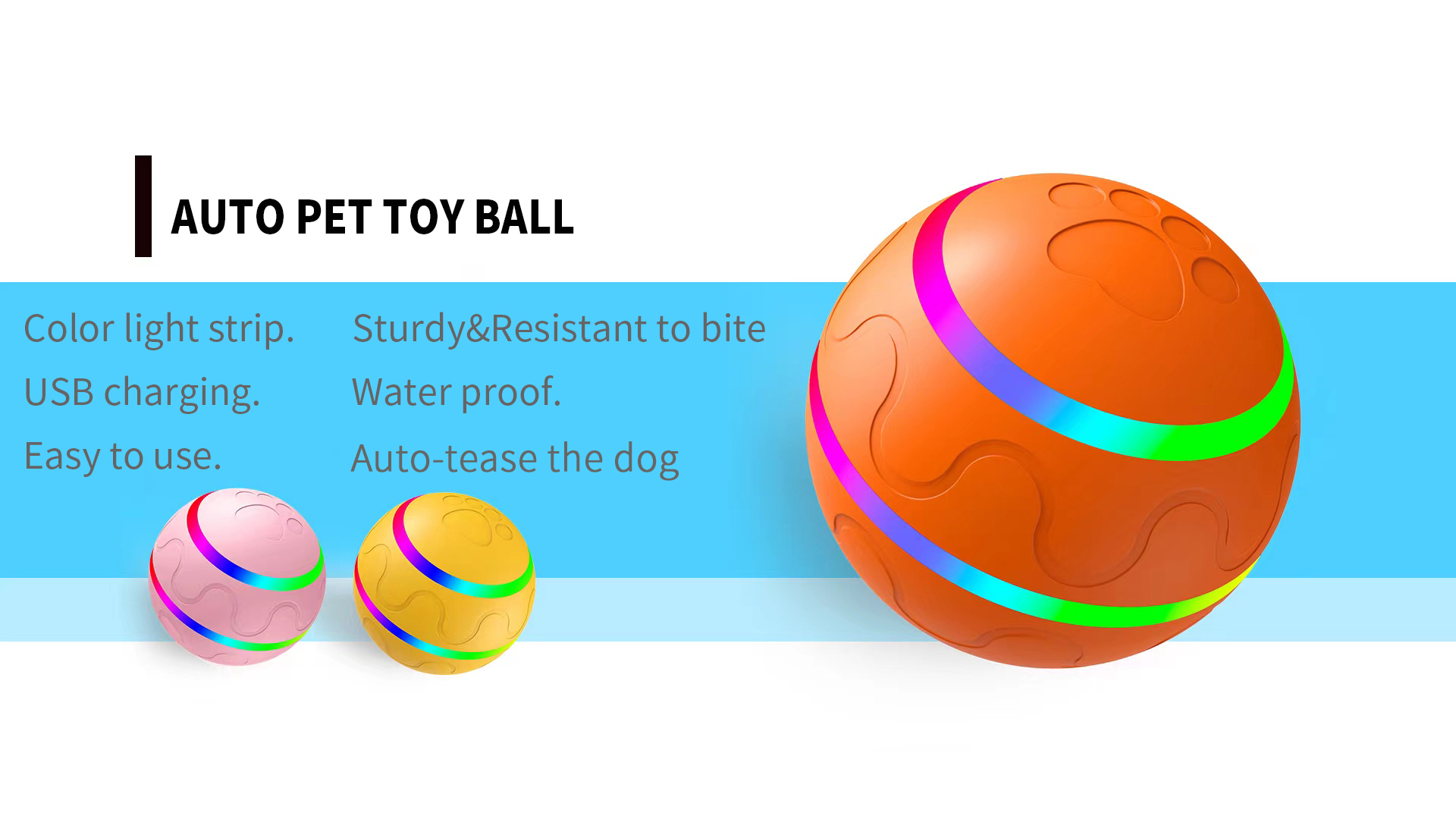 Interactive Pet Toy