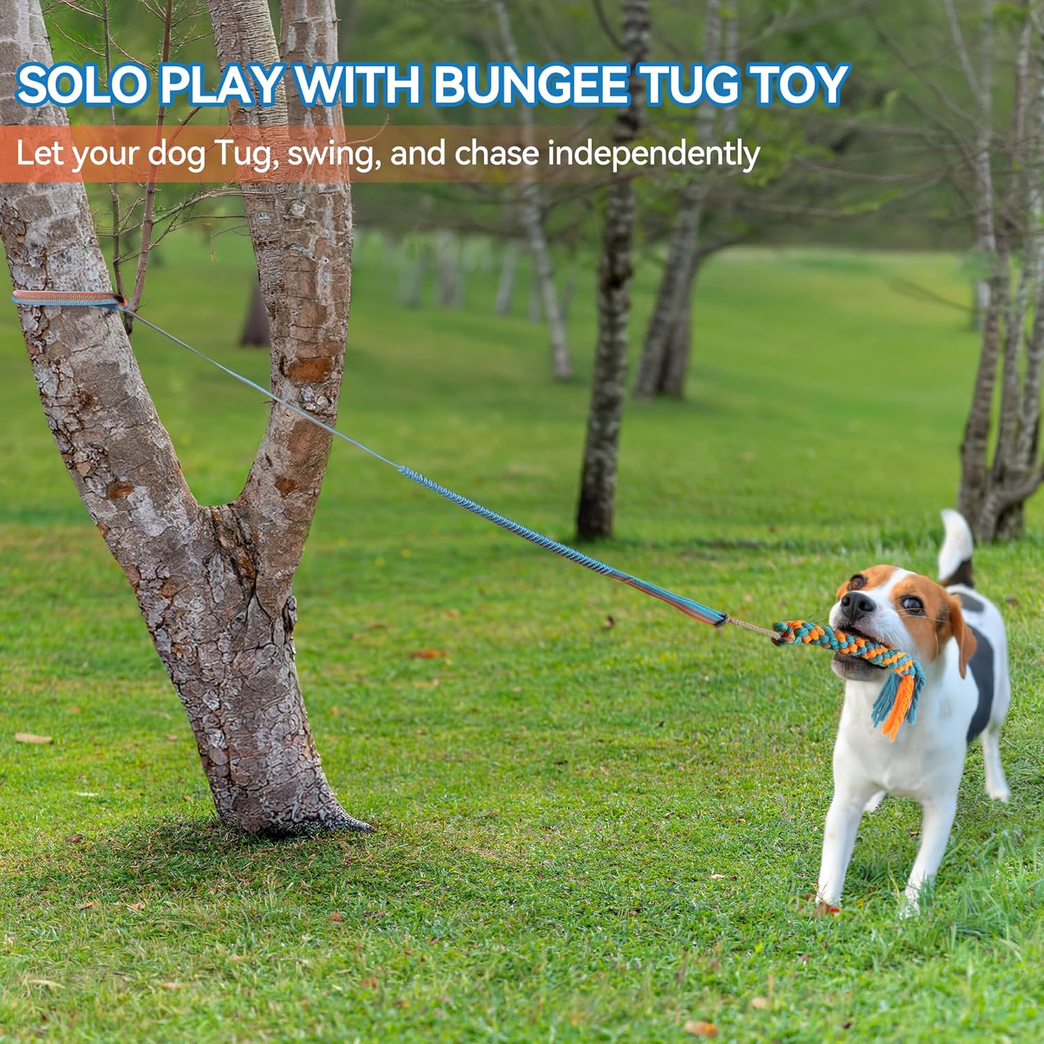 Interactive Dog Toy Details 4