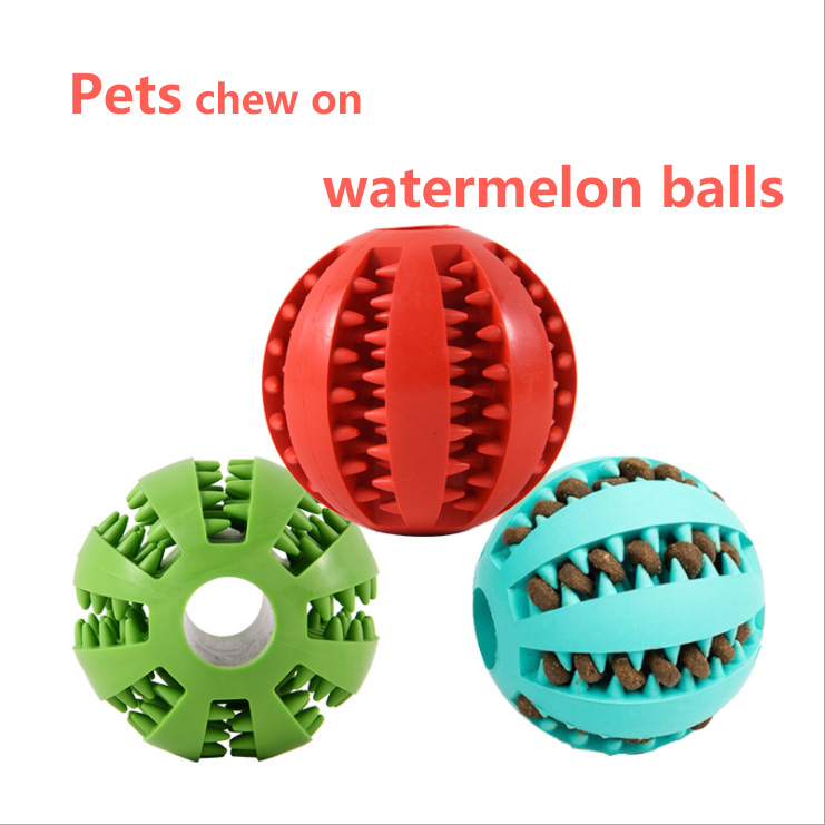 Pet Toy Feature 1