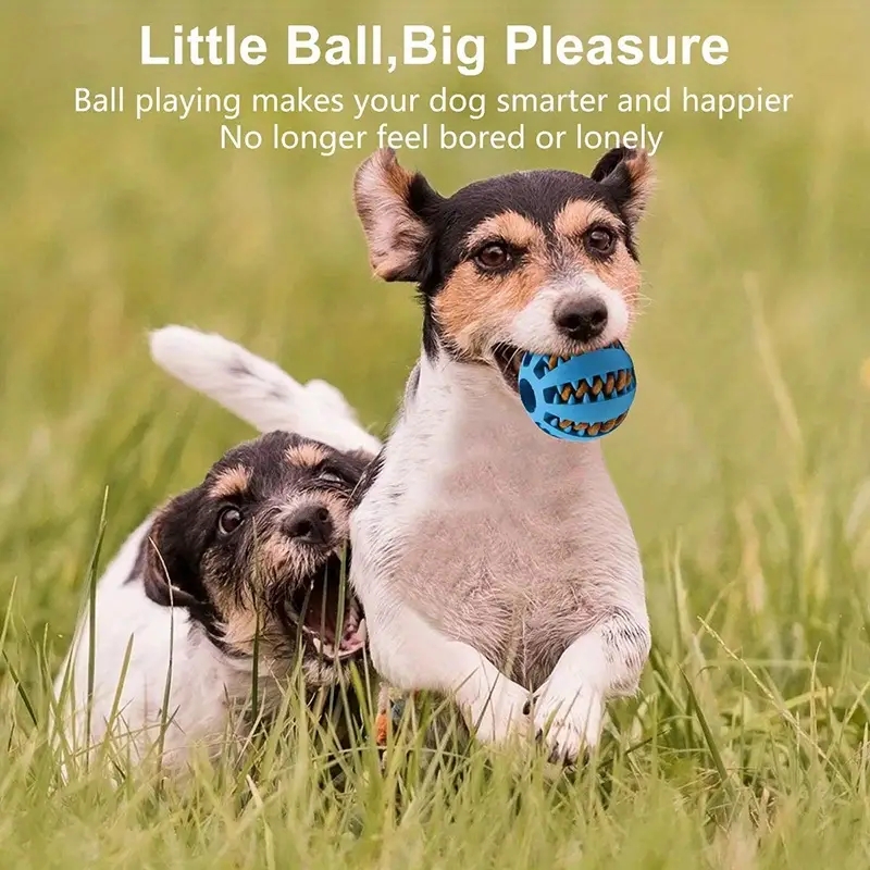 Dog Toy Ball Detail 3