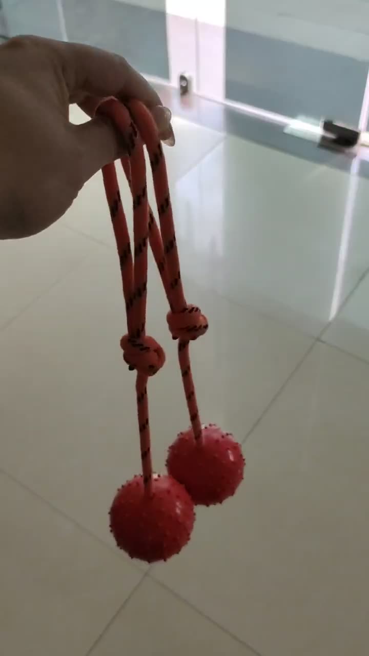 Interactive Rubber Dog Training Ball on Rope Launcher Simple Sport Style Chew Ball Toy for Reward and Play