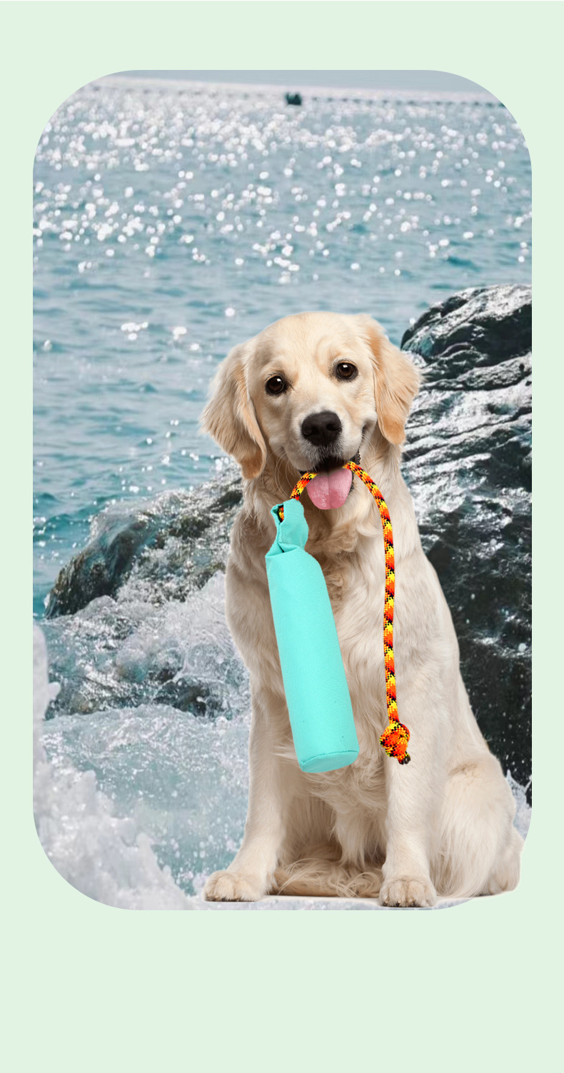 Pet Toy Showcase 3