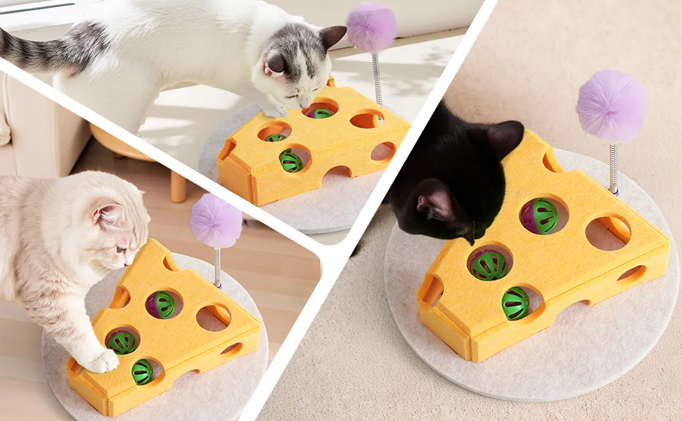 Cat Treat Box Storage
