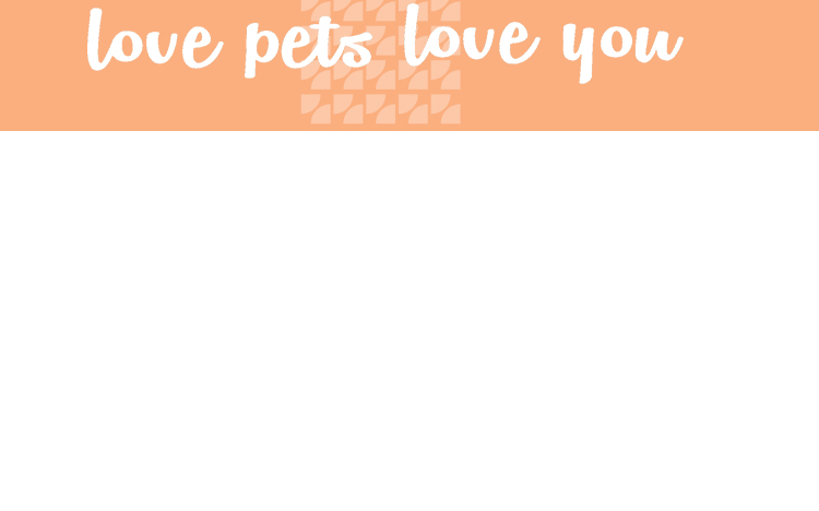 Pet Supply Showcase 8