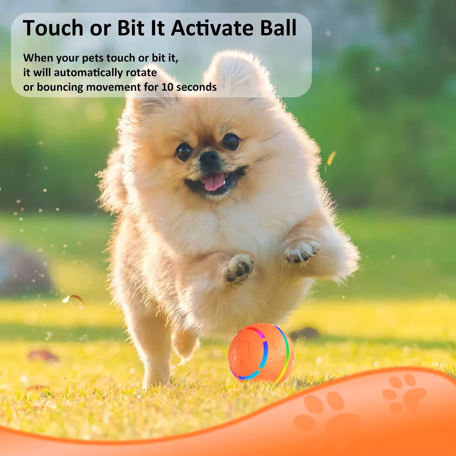Interactive USB Charging LED Light Auto Electric Moving Remote Control Smart Cat Silicone Sport Rolling Ball Electronic