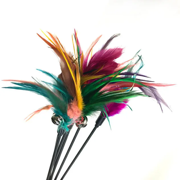 Interactive Cat Feather Wand Toy with Bell for Kitten Teaser Play