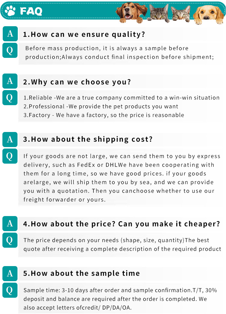 Frequently Asked Questions Banner