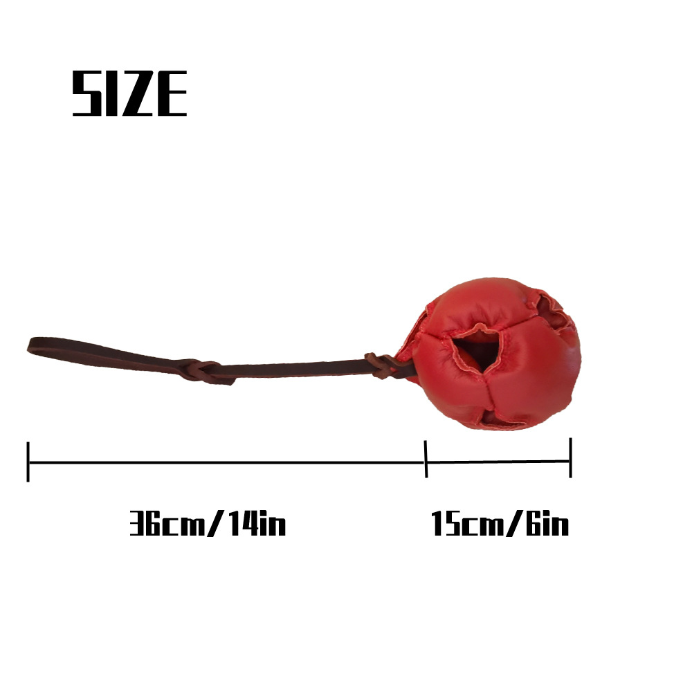 Leather Dog Ball Tug Toy Pet Rope Dog Ball Training Bite Toy Soft Puppy Reward Toy for Fetch Catch Throw