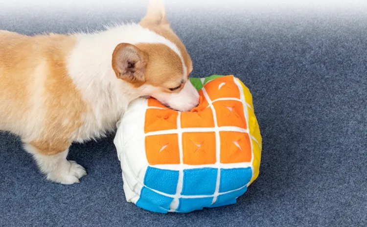 Pet Cube Sniffing Toy Dog Enrichment Chew Toys Puzzle Hiding Food Interactive Toy