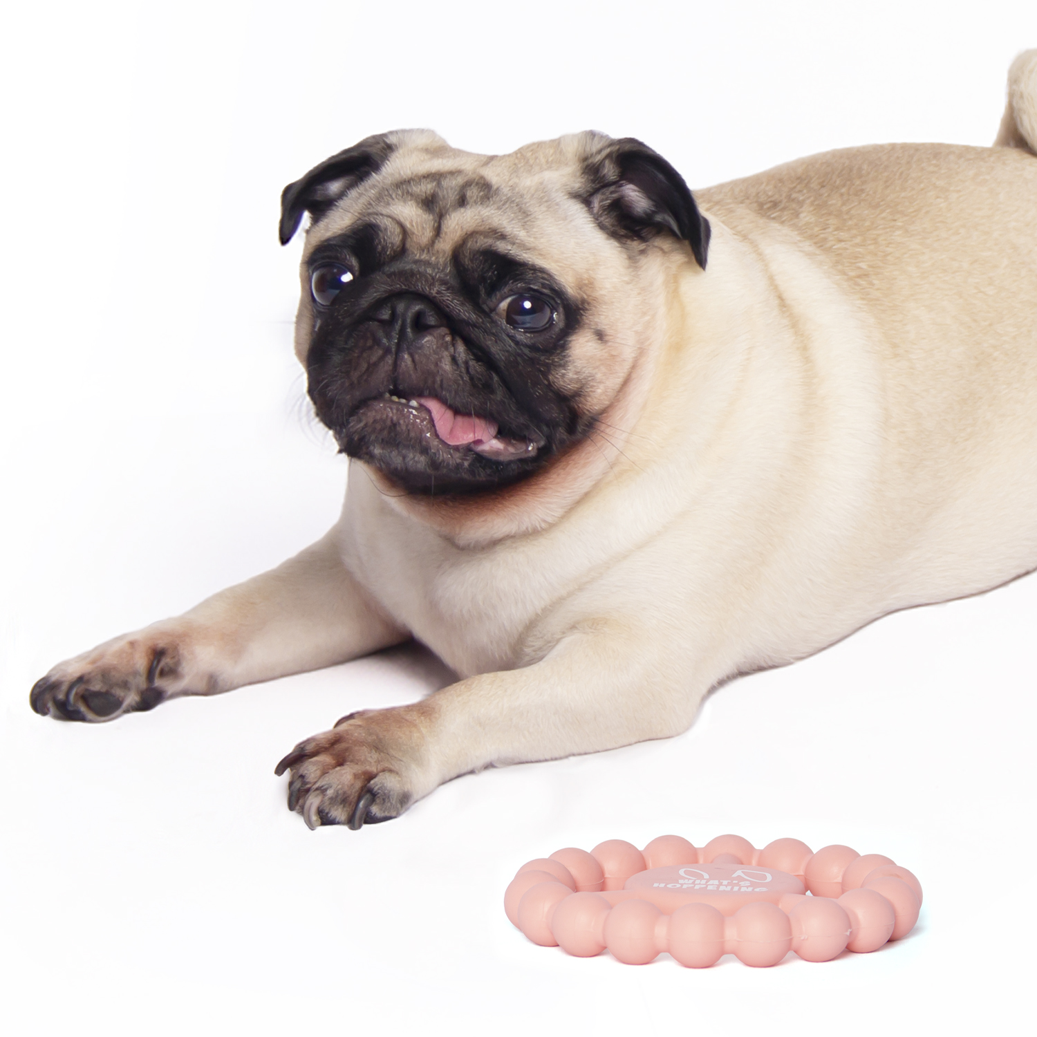New Design Macaron Durable Solid Chewing Tpr Toys for Dog + TPR DENTAL CLEANING TOY- Fitness Ring Pink