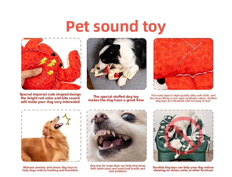 Pet Toy Feature 2