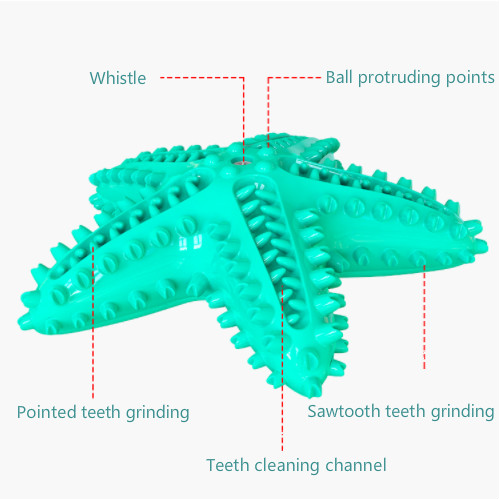 Custom Color Interactive TPR Sounding Tough Chewer Eco-Friendly Starfish Pet Chew Toys Squeaky Dog Toy with Toothbrush