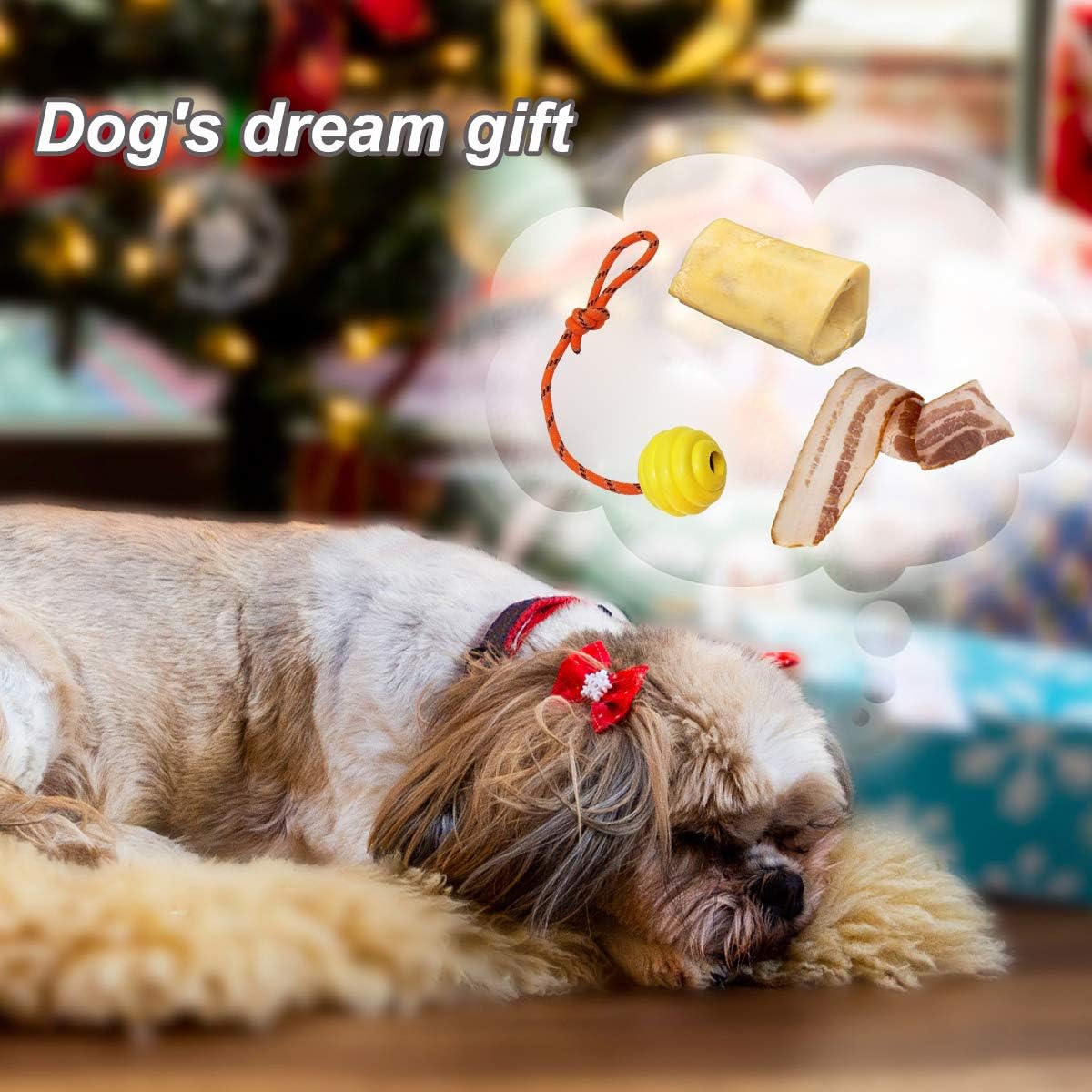 Dog training ball image 3