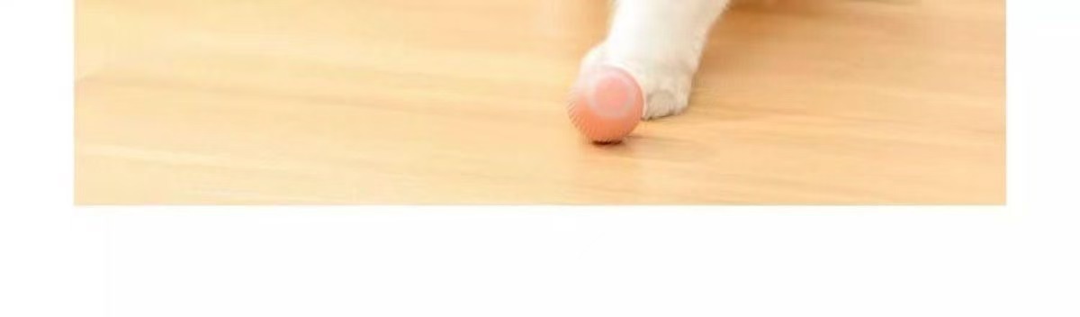 Rechargeable Roller Ball