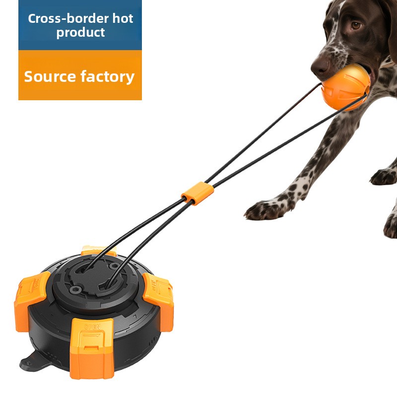 Pet Supplies Manufacturer Wholesaler New Hot-selling Suction-cup Rope Knot Durable Bite-Resistant Tug-of-war Chew Toy 36 Pieces