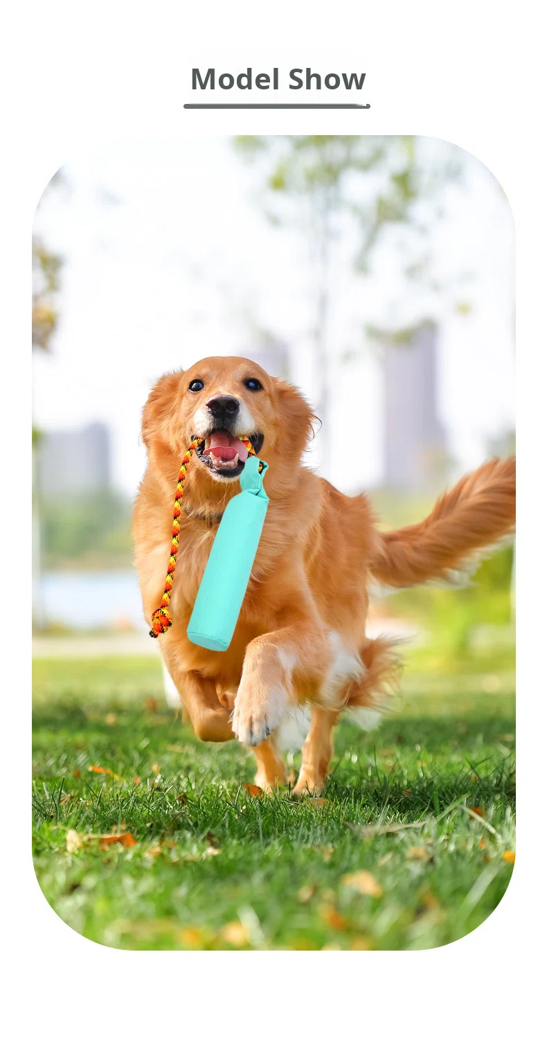 Pet Toy Showcase 2