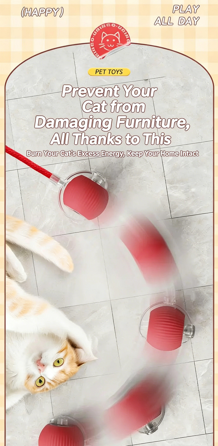 Pet Product Details
