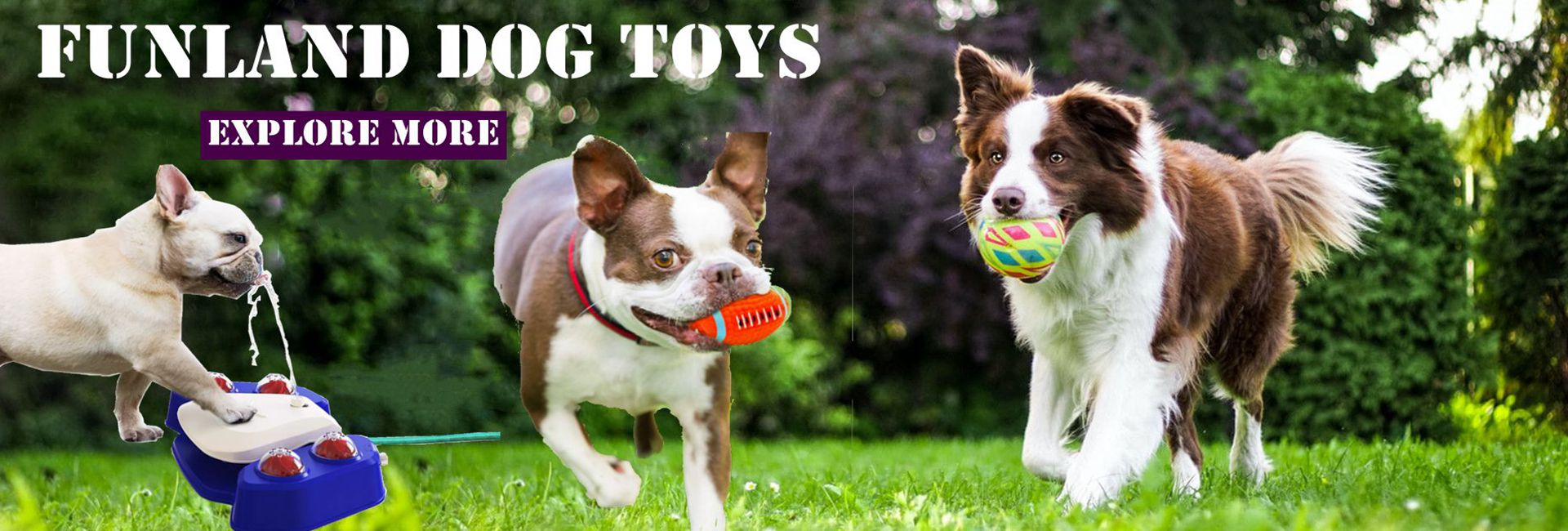 ETPU Chew Ring Dog Toy