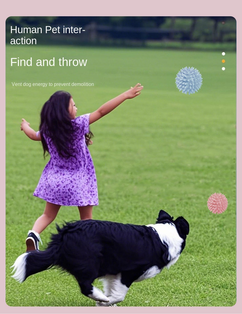 Dog Sound Ball Display 25