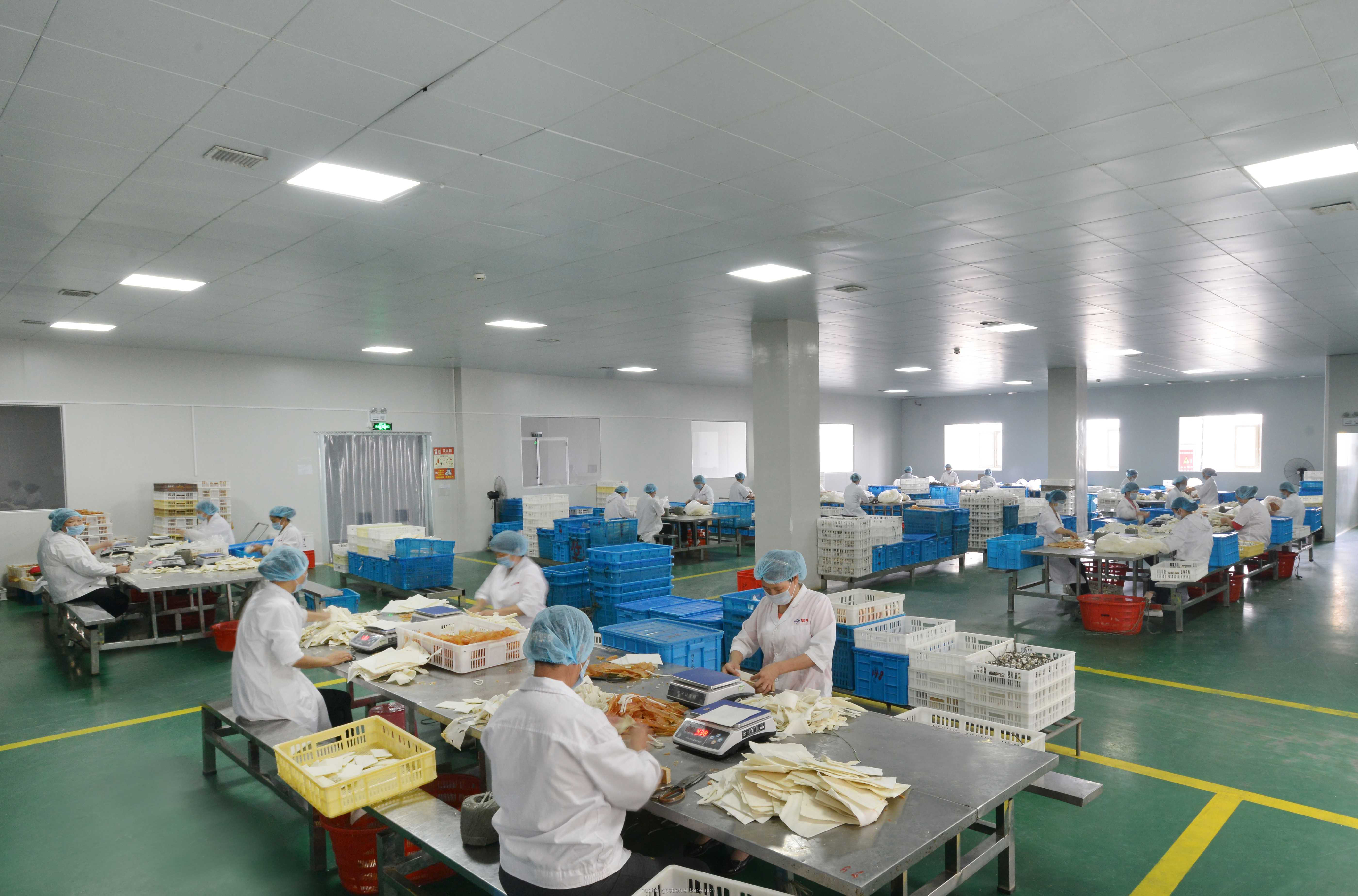 Production Line