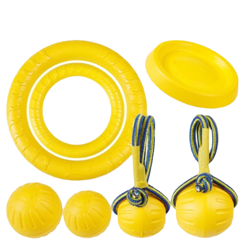 Lynpet Interactive Eco-Friendly EVA Floating Foam Dog Toys Luxury Outdoor Training Dog Catch and Fetch Toys