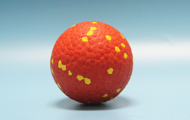 Pet Supplies Gallery