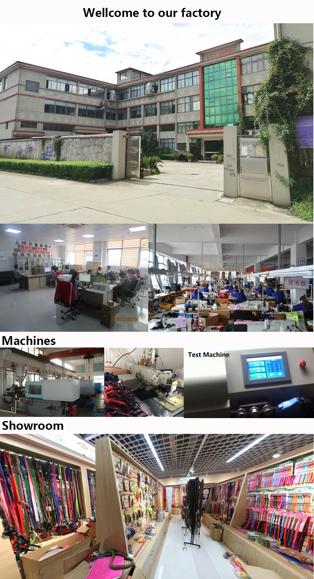 Company Profile