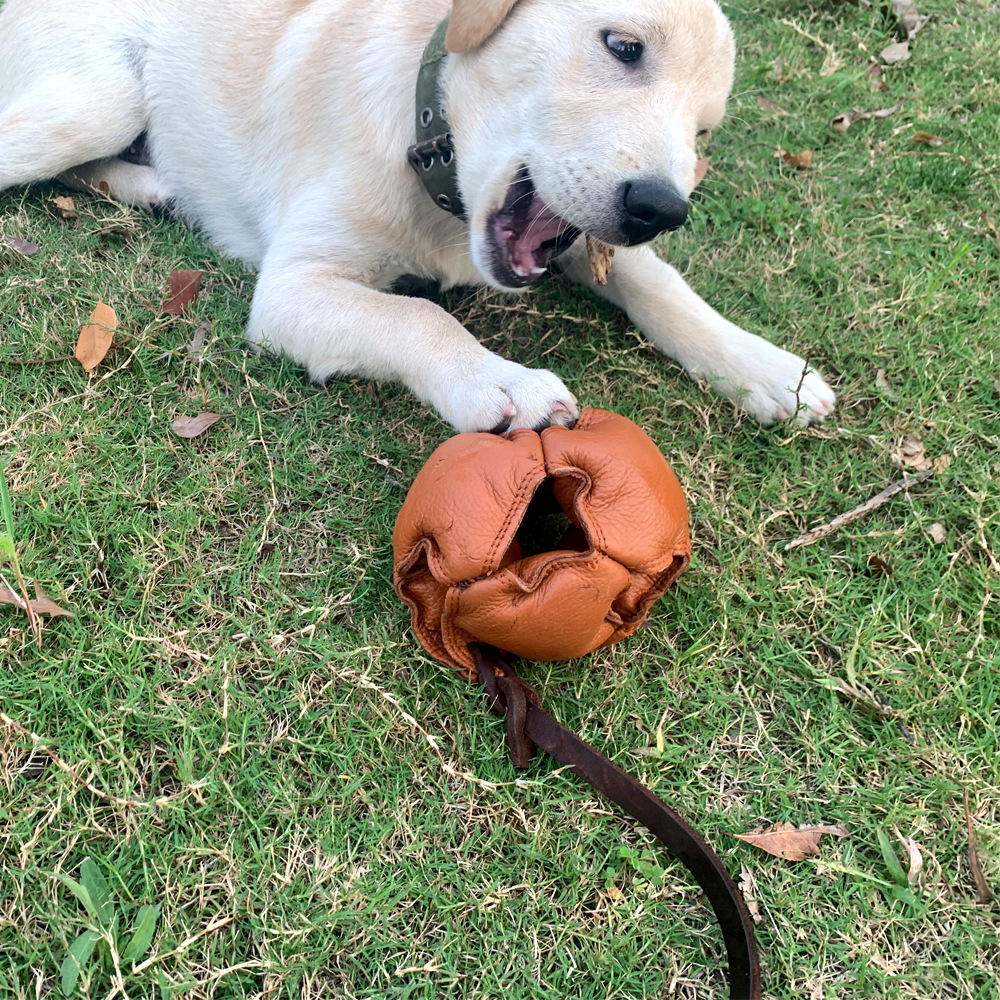 Leather Dog Ball Tug Toy Pet Rope Dog Ball Training Bite Toy Soft Puppy Reward Toy for Fetch Catch Throw