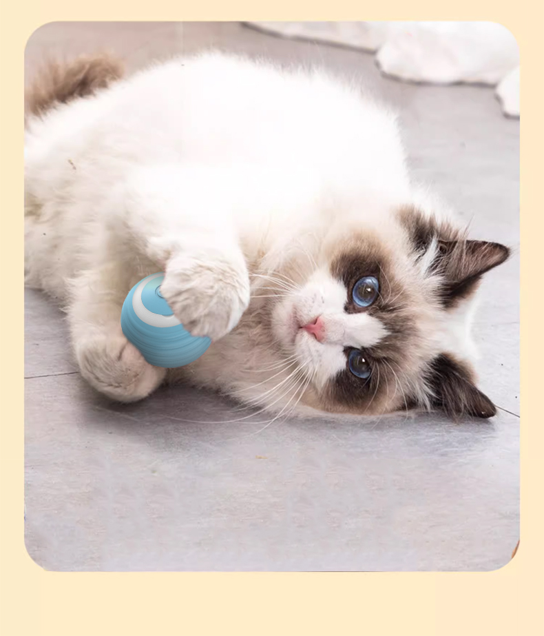 Electric Pet Rolling Ball Features 10