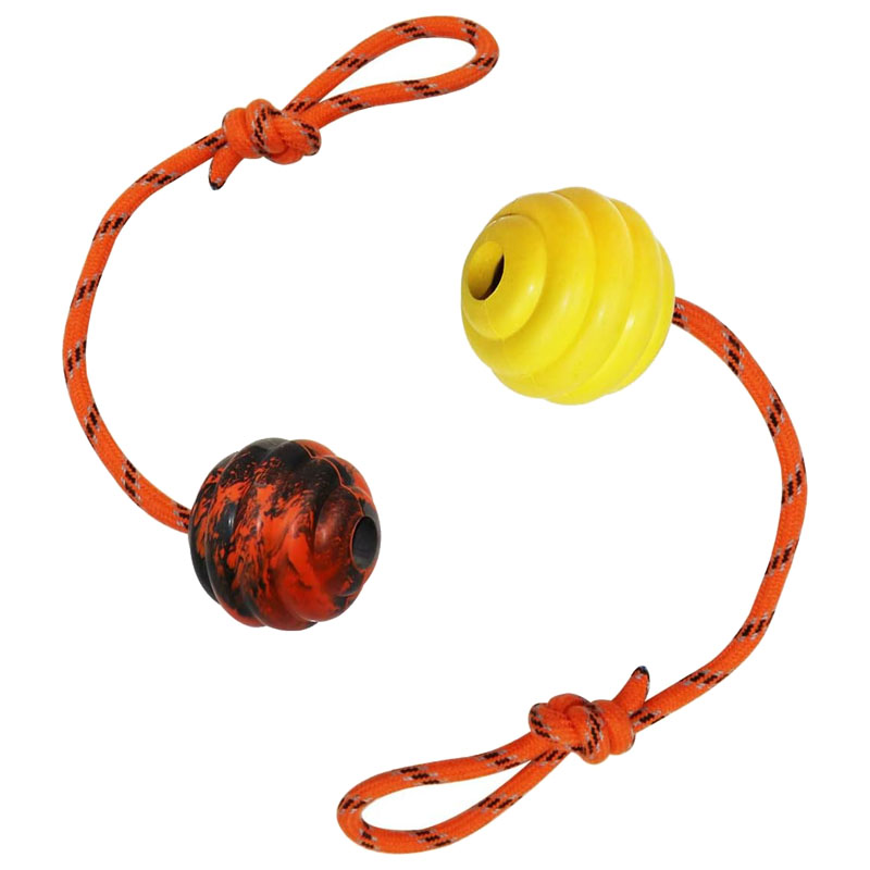 Dog training ball image 6