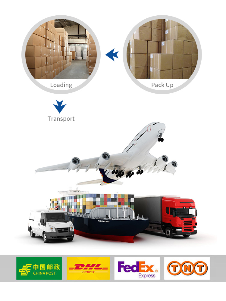 Pet Toys Packaging and Shipment Details