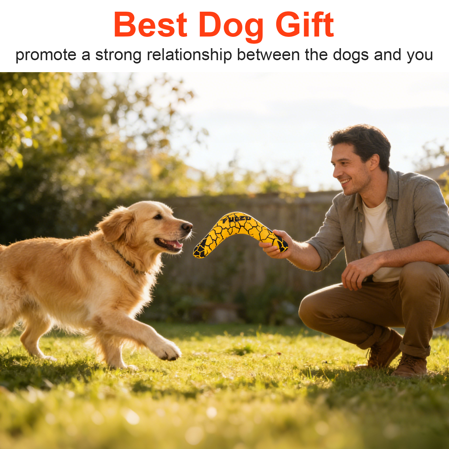 High Quality Durable TPR Dog Boomerang Chew Toy Water-Resistant Floating Classic/Modern Design for Medium/Large Dogs