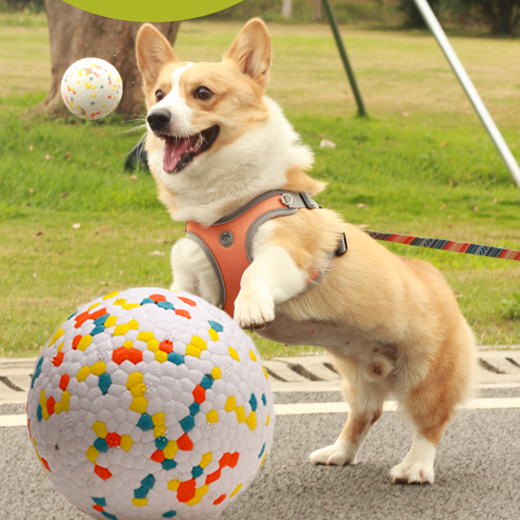ETPU Dog Ball Detail 8