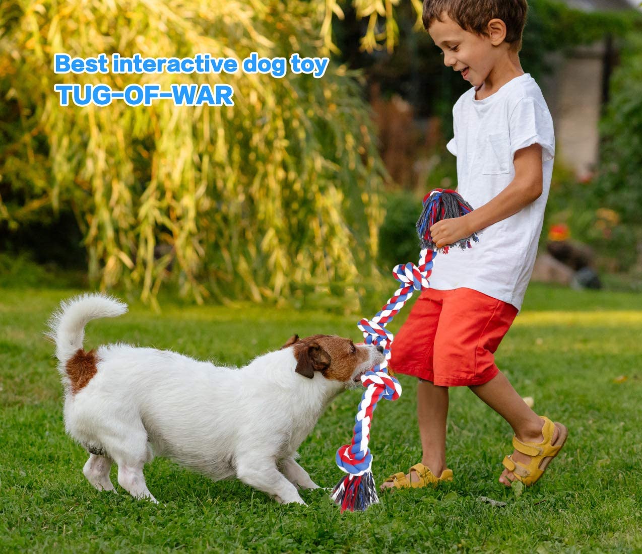 Dog Toy Image 1