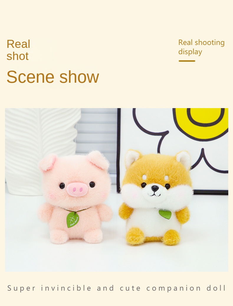 Product Display 7