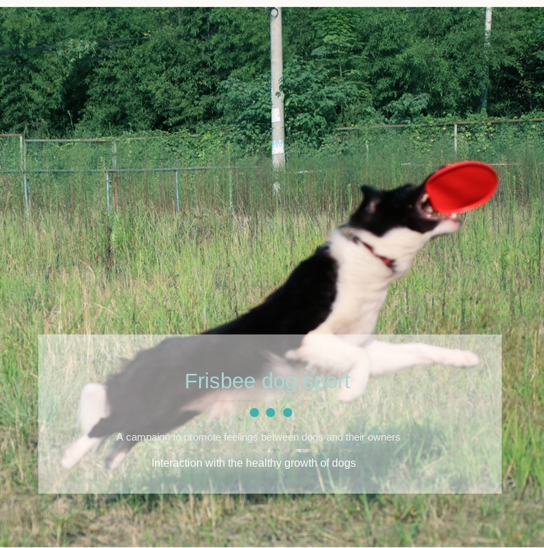 Pet Soft Frisbee 15