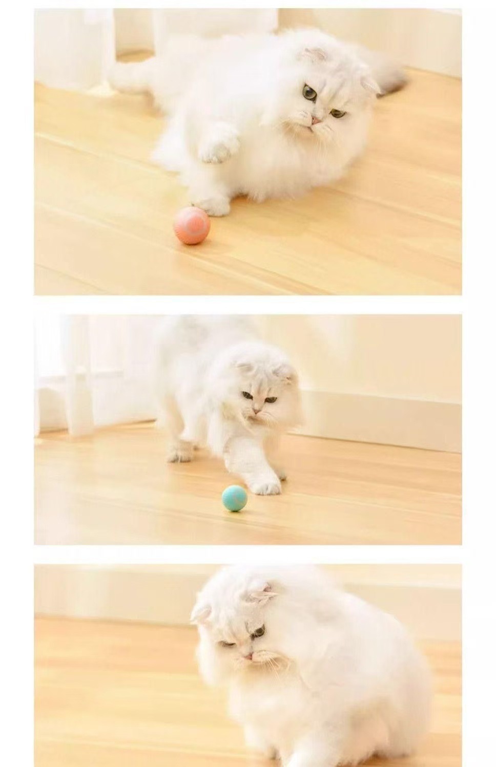 Indoor Cat Game Toy