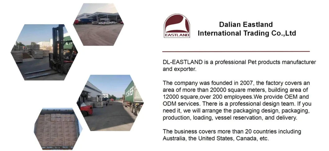 Company Profile Details 1