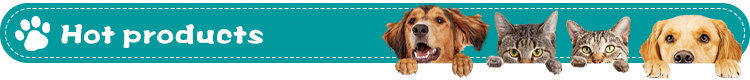 Recommend Products Header
