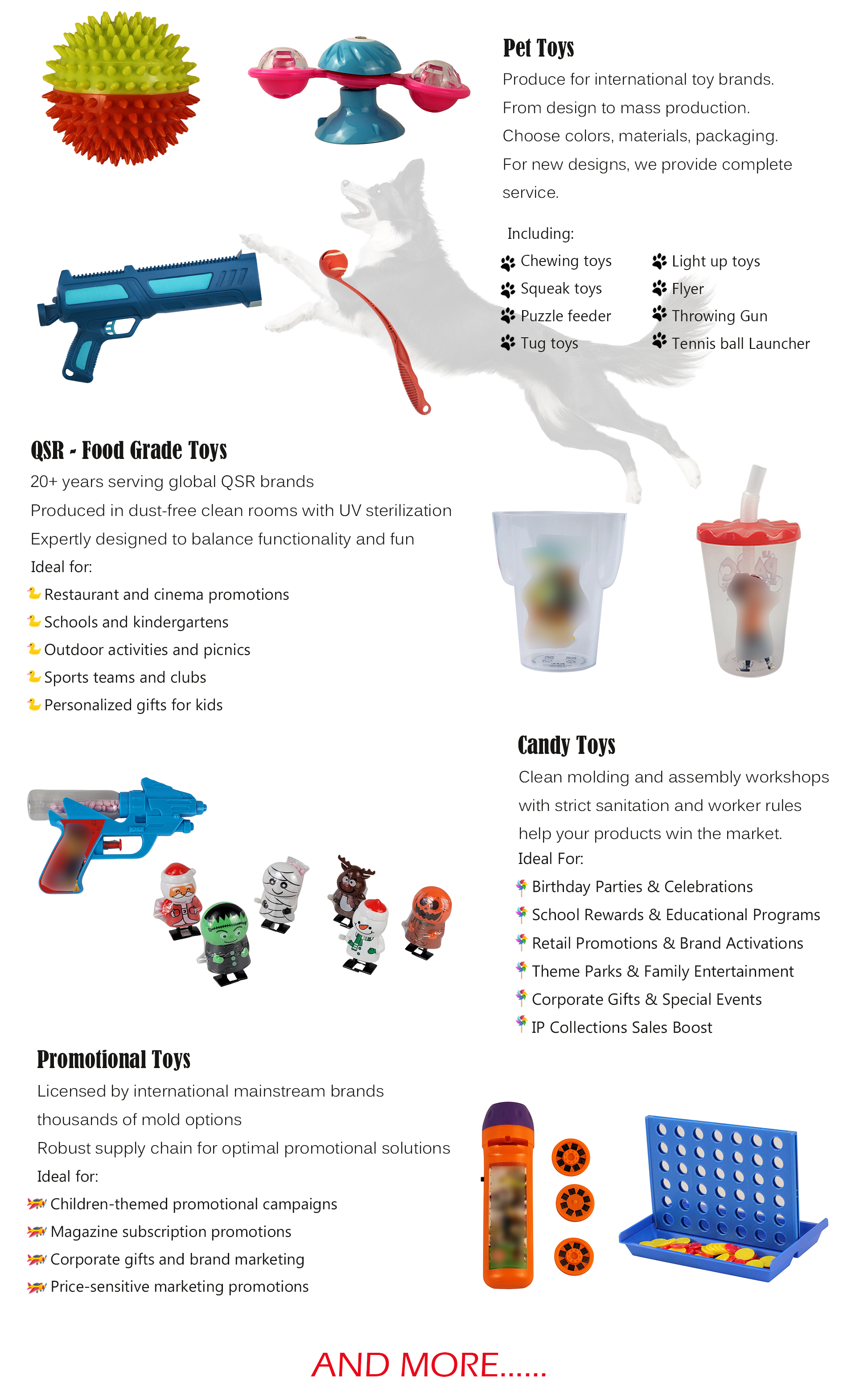 Pet Training Toys