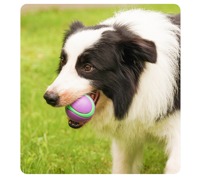 Durable TPR Dog Toy Ball Chew Proof &amp; Squeaky Light Glow Dark Interactive Training Fetch Stylish Night Playing Fetch Toy