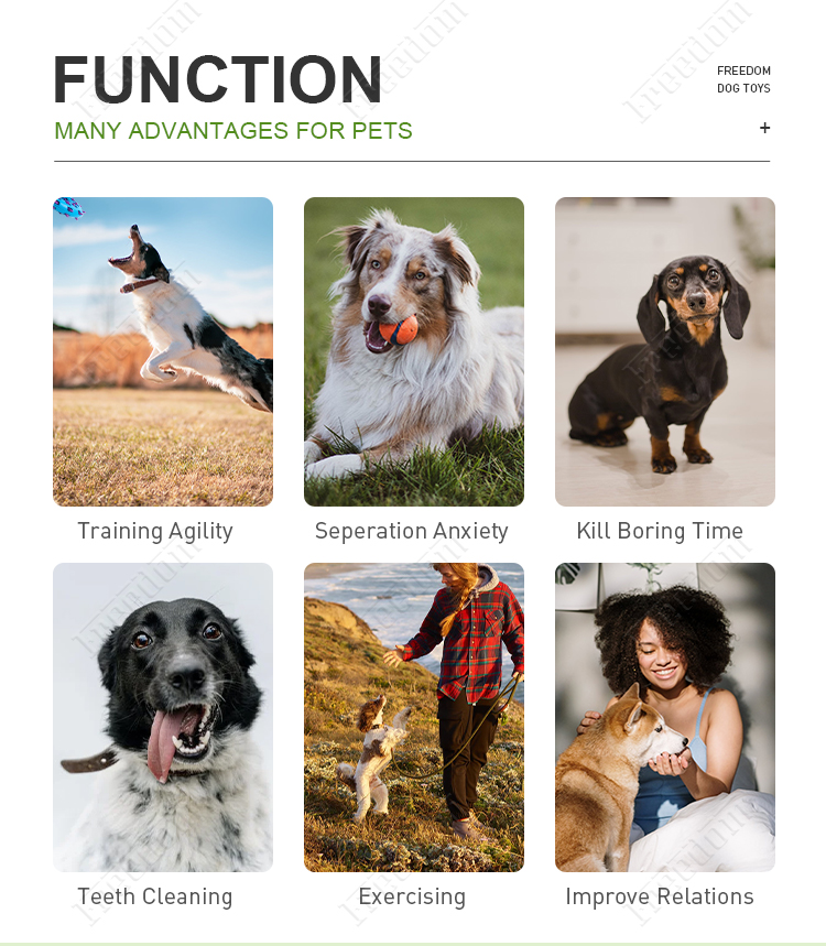 Function of TPR Dog Toys